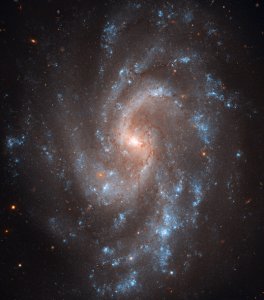 Galaxy NGC 5584 from Hubble WFC3