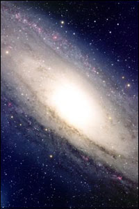 M31 Nova Search