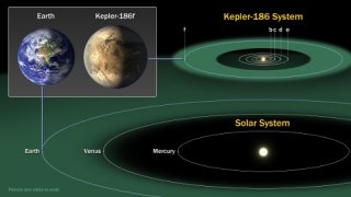The diagram compares the planets of our inner solar system to Kepler-186, a five-planet star system about 500 light-years from Earth in the constellation Cygnus. The five planets of Kepler-186 orbit an M dwarf, a star that is is half the size and mass of the sun. [Click link below for more.] Image Credit: NASA Ames/SETI Institute/JPL-Caltech